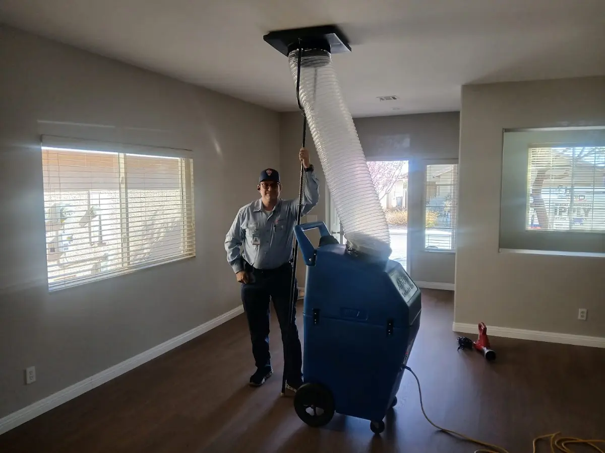 Professional Dryer Vent Cleaning work inside a Eustis home